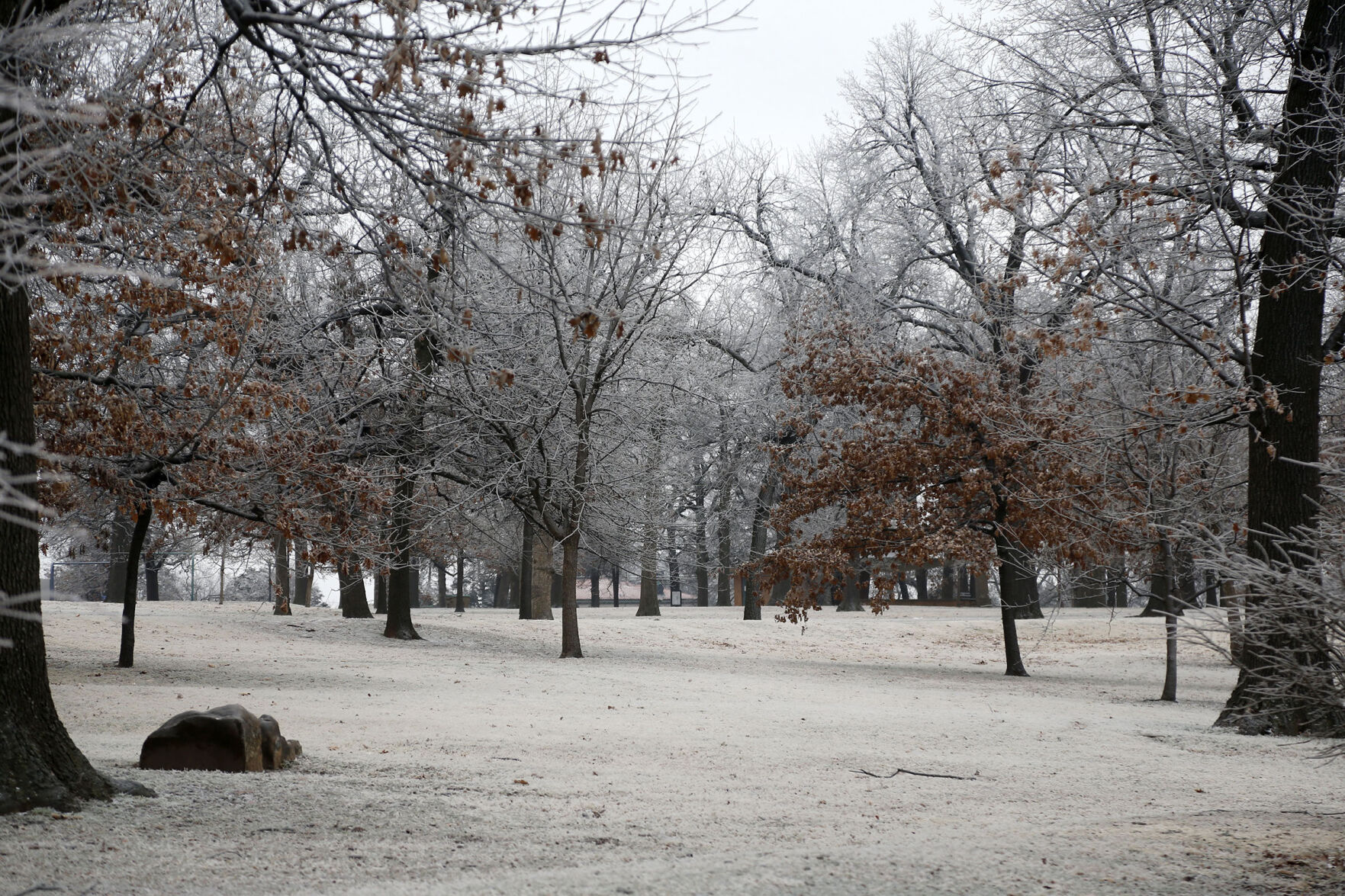 Frost Features